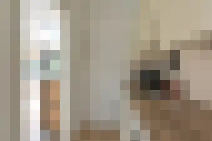 De Hilde 34 Borger thumbnail 36