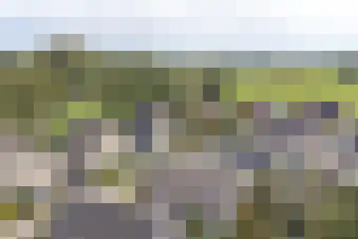 De Hilde 34 Borger thumbnail 4