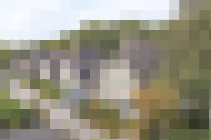 De Hilde 34 Borger thumbnail 5