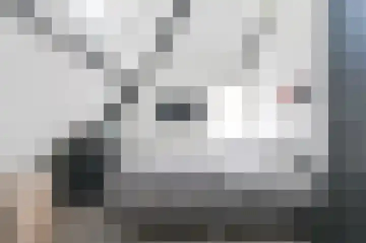De Hilde 34 Borger thumbnail 53