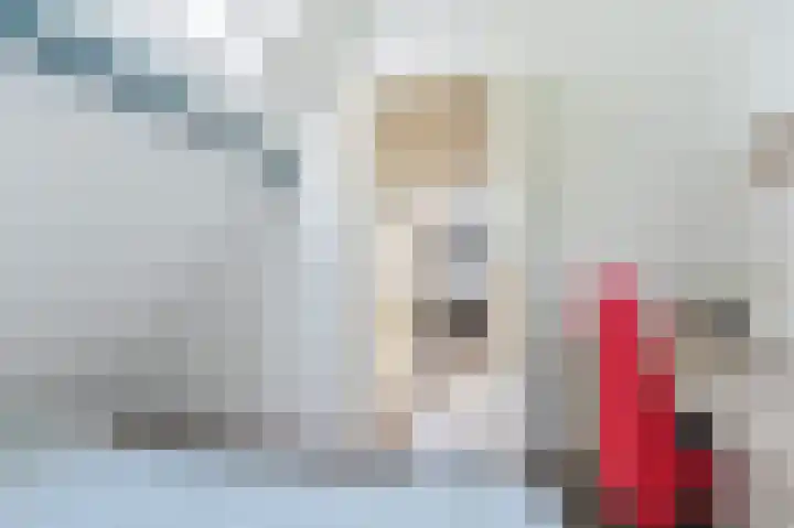 De Hilde 34 Borger thumbnail 58