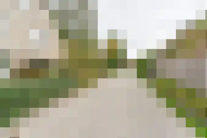 De Hilde 34 Borger thumbnail 6