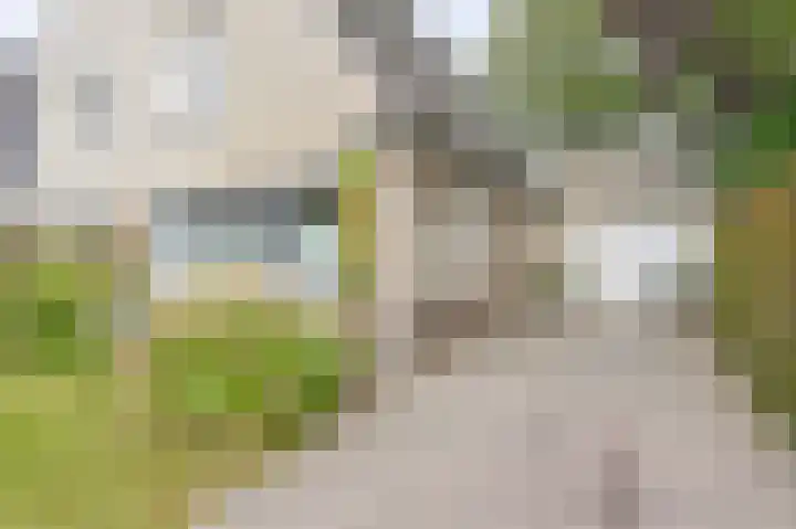 De Hilde 34 Borger thumbnail 7