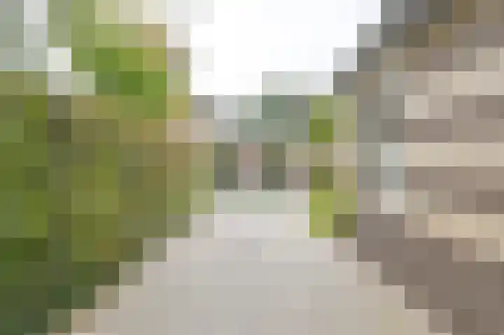 De Hilde 34 Borger thumbnail 8