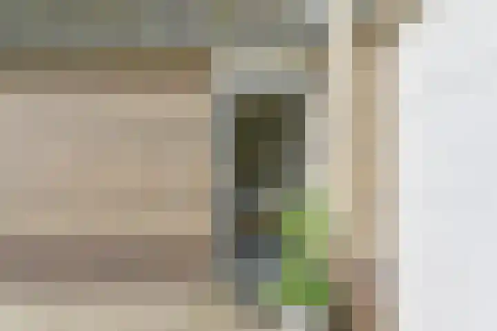 De Hilde 34 Borger thumbnail 9