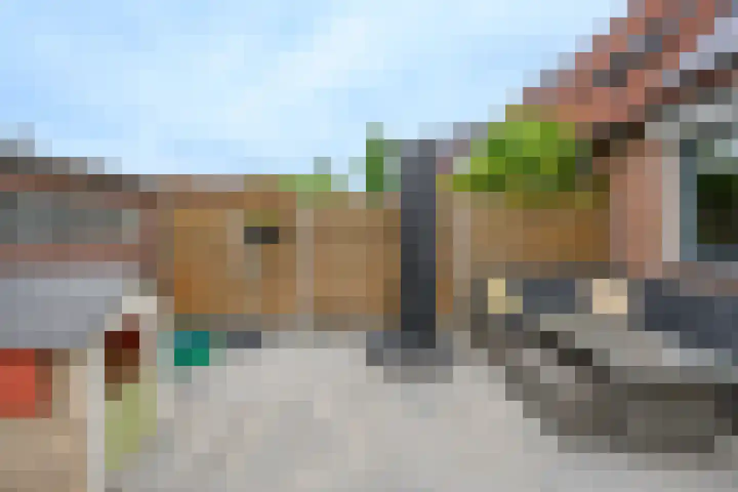 De Hilde 36 Brummen thumbnail 21