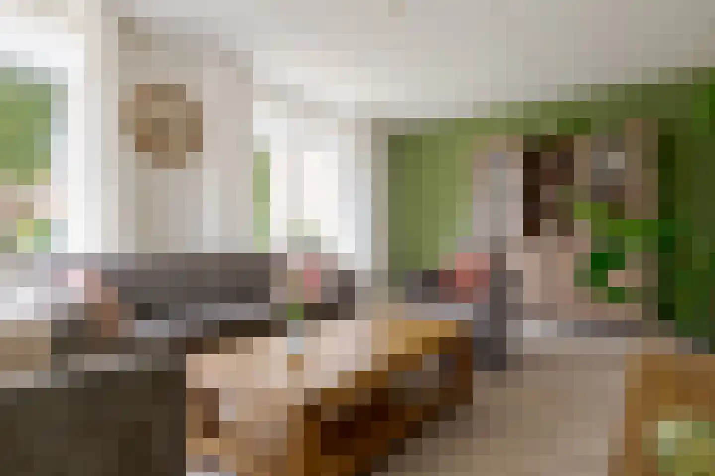 De Hilde 39 Borger thumbnail 14