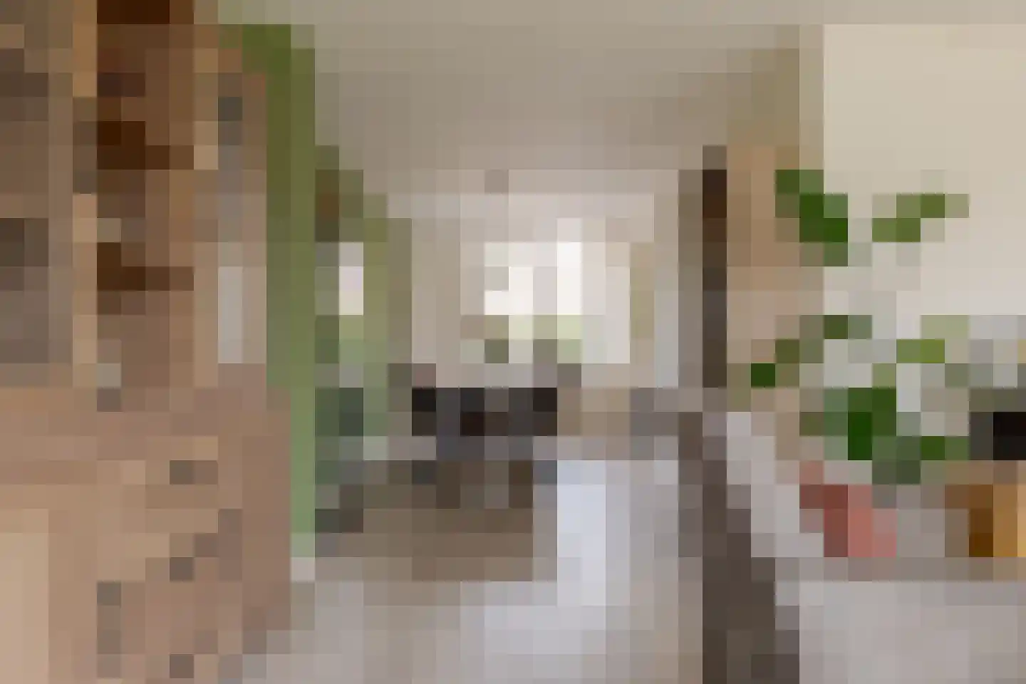 De Hilde 39 Borger thumbnail 15