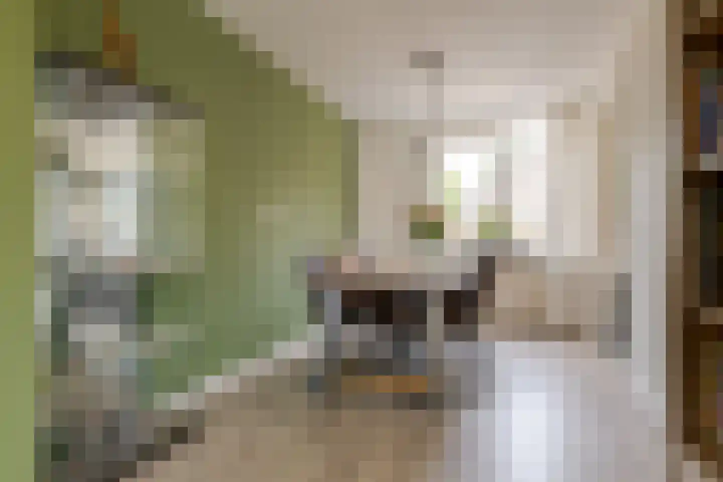 De Hilde 39 Borger thumbnail 16