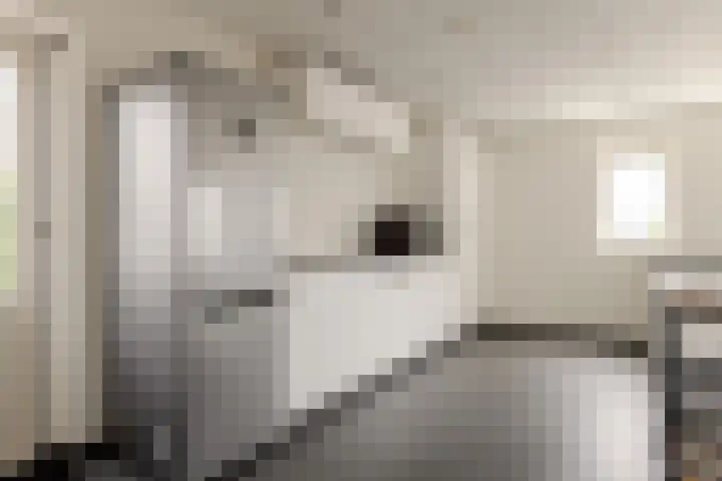 De Hilde 39 Borger thumbnail 23