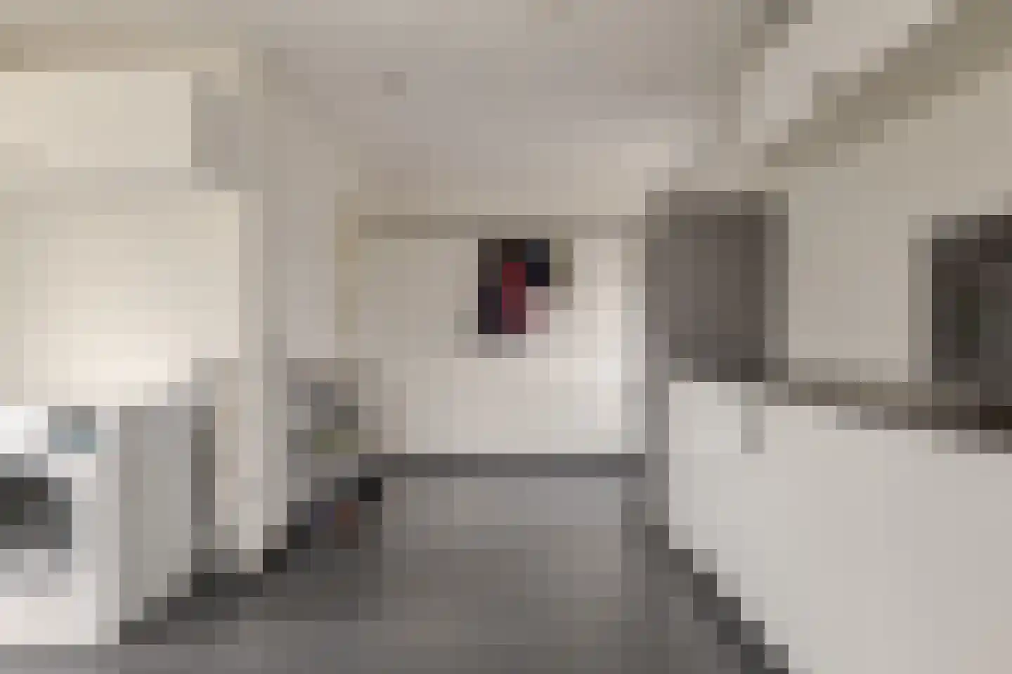 De Hilde 39 Borger thumbnail 26