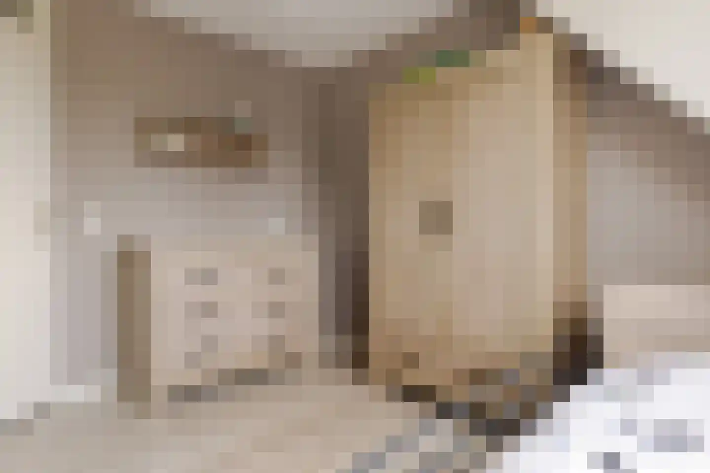 De Hilde 39 Borger thumbnail 38