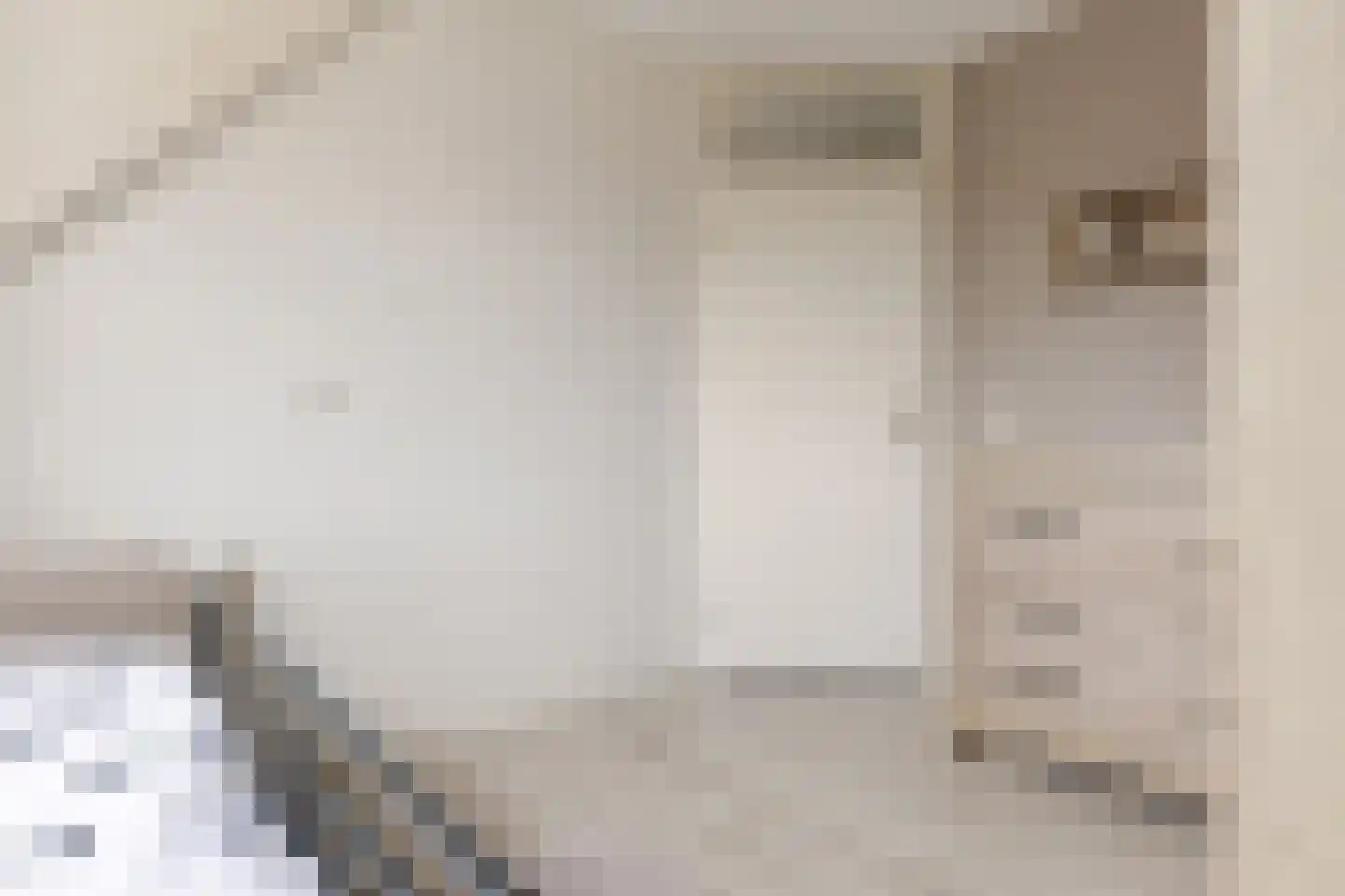 De Hilde 39 Borger thumbnail 39