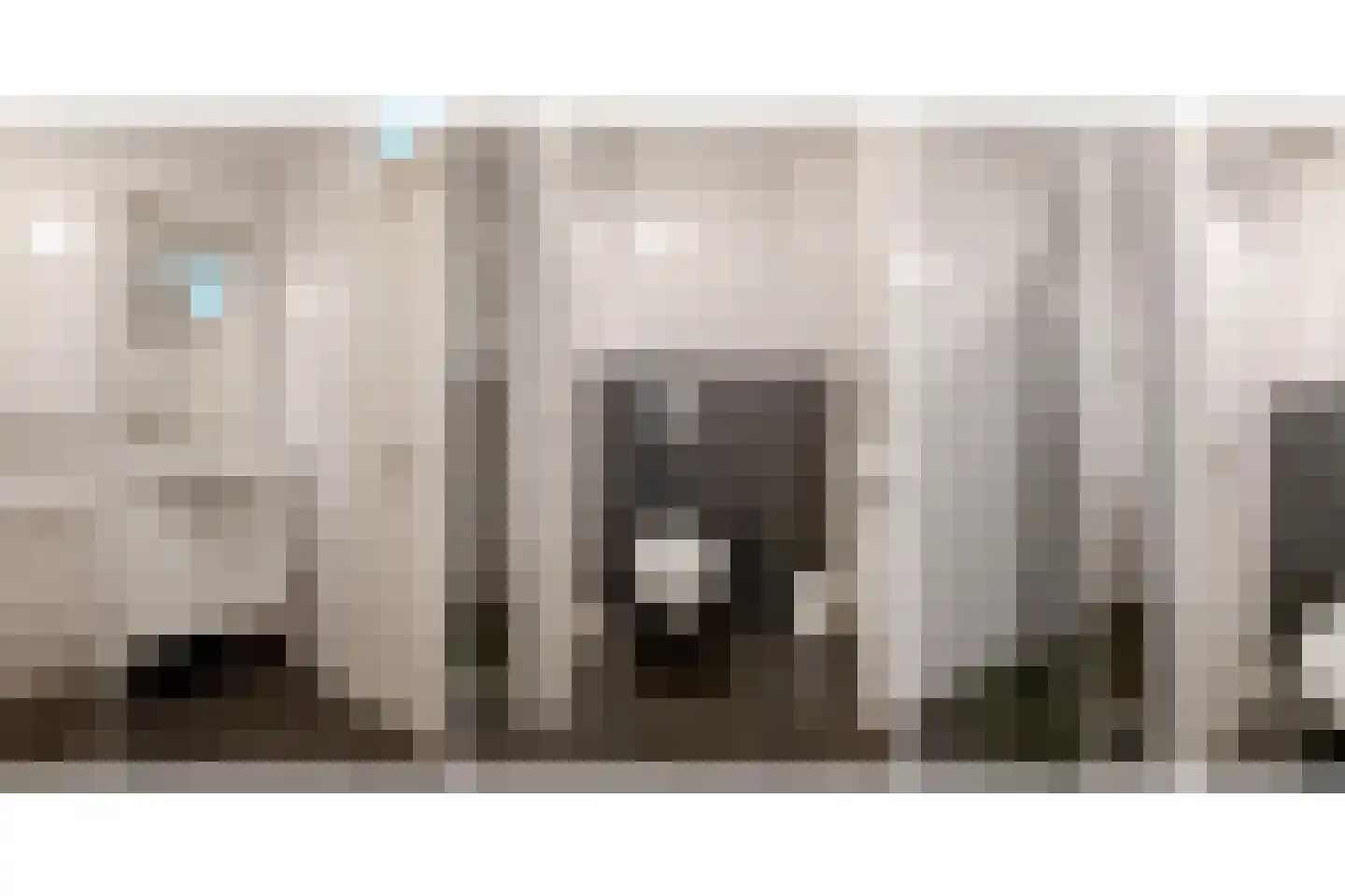 De Hilde 39 Borger thumbnail 44