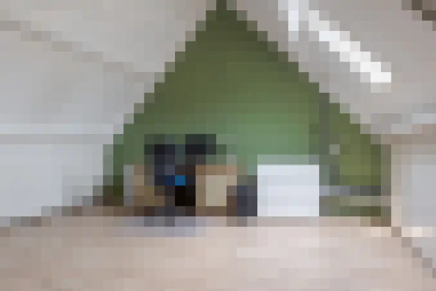 De Hilde 39 Borger thumbnail 47