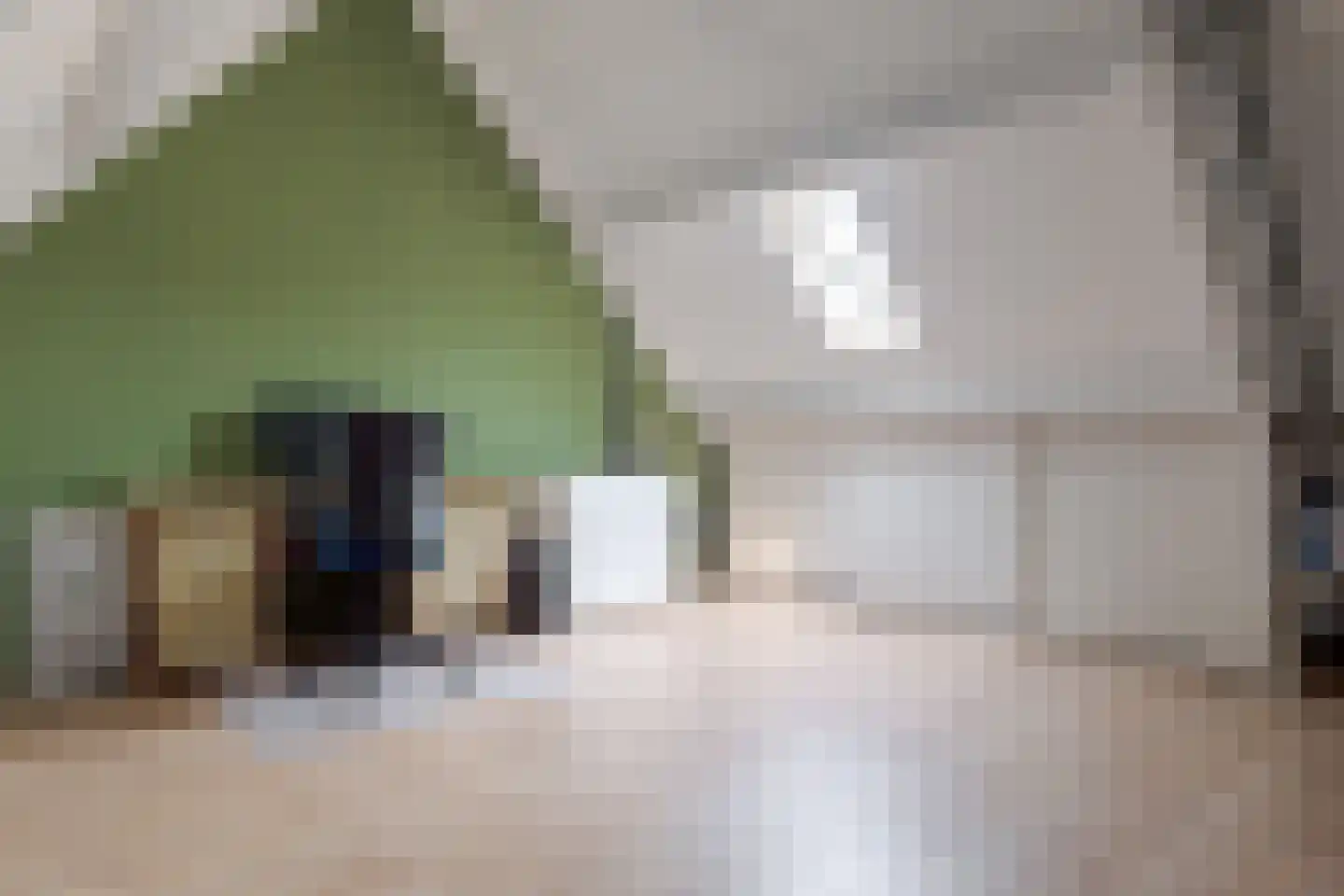 De Hilde 39 Borger thumbnail 48