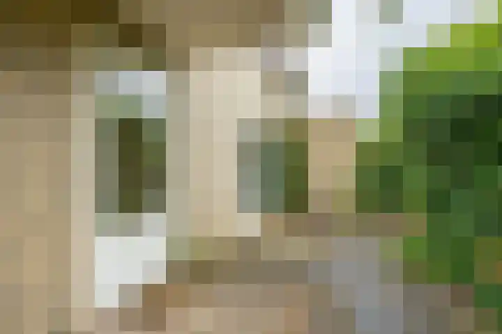 de Hilde 46 Zuidlaren thumbnail 10