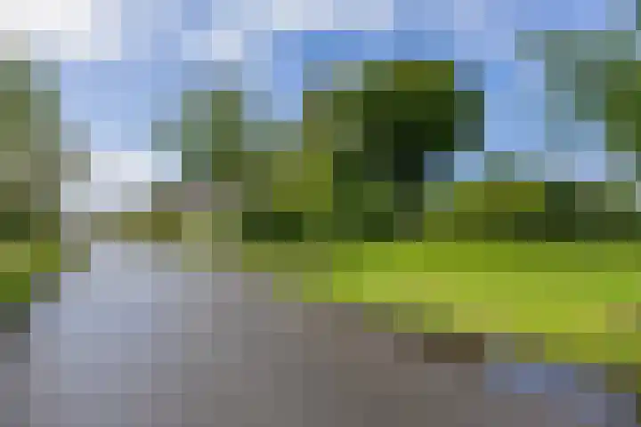 de Hilde 46 Zuidlaren thumbnail 33