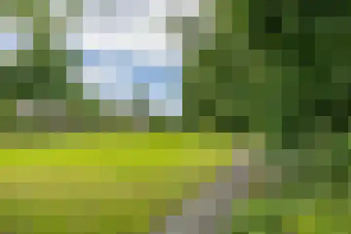 de Hilde 46 Zuidlaren thumbnail 34