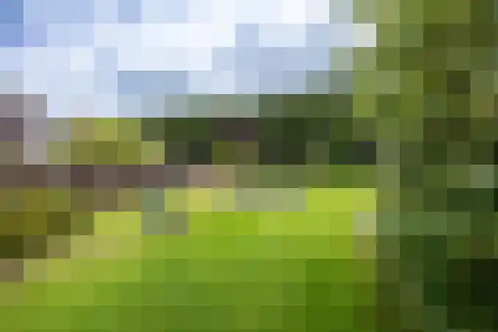 de Hilde 46 Zuidlaren thumbnail 35