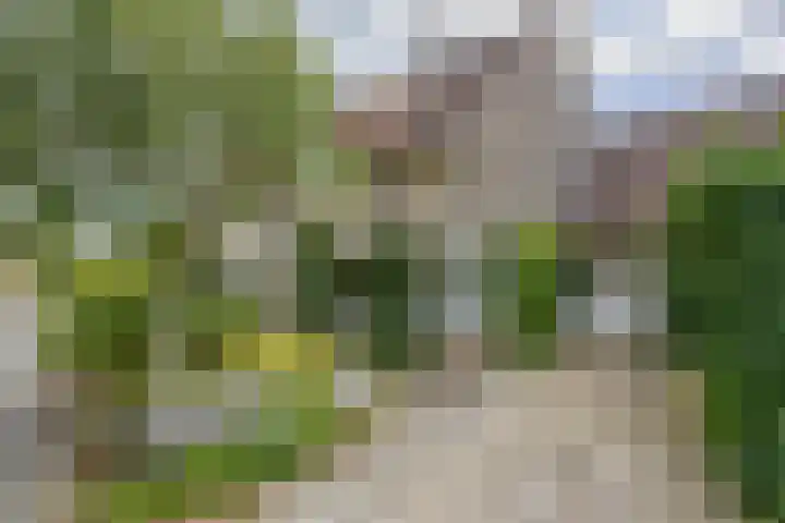 de Hilde 46 Zuidlaren thumbnail 5