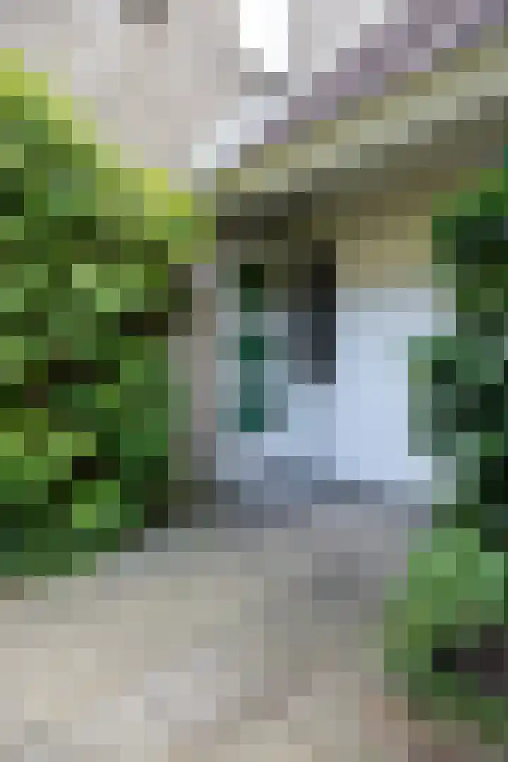 de Hilde 46 Zuidlaren thumbnail 7