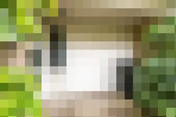 de Hilde 46 Zuidlaren thumbnail 8