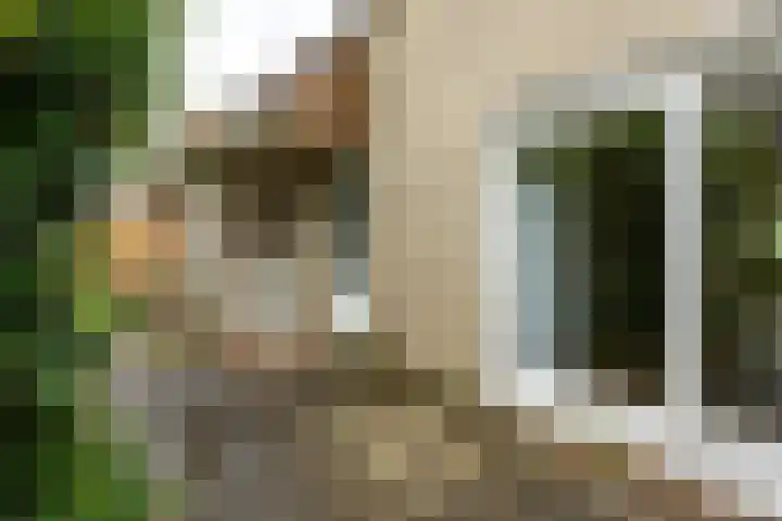 de Hilde 46 Zuidlaren thumbnail 9
