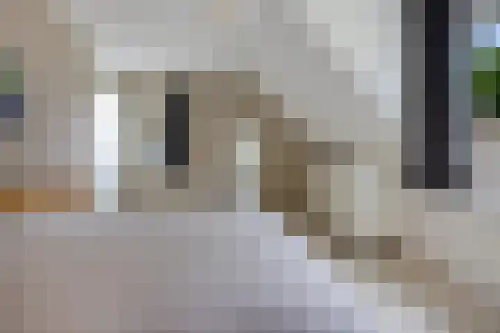 de Hilde 54 Zuidlaren thumbnail 23