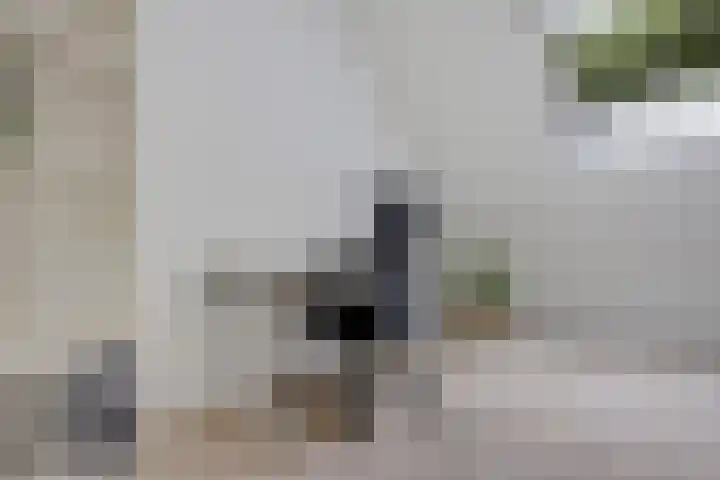 de Hilde 54 Zuidlaren thumbnail 33