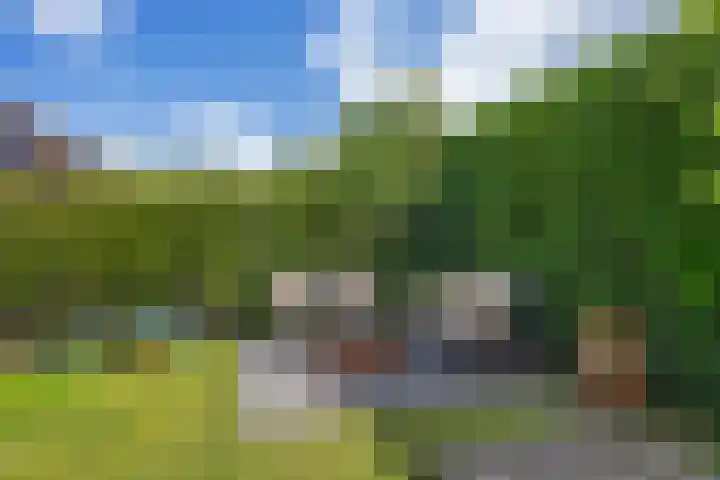 de Hilde 54 Zuidlaren thumbnail 34