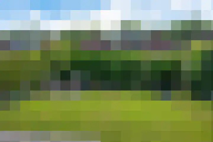 de Hilde 54 Zuidlaren thumbnail 35