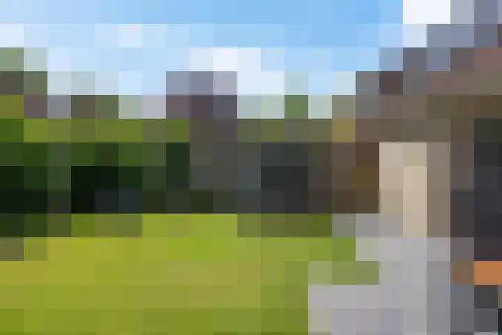 de Hilde 54 Zuidlaren thumbnail 36