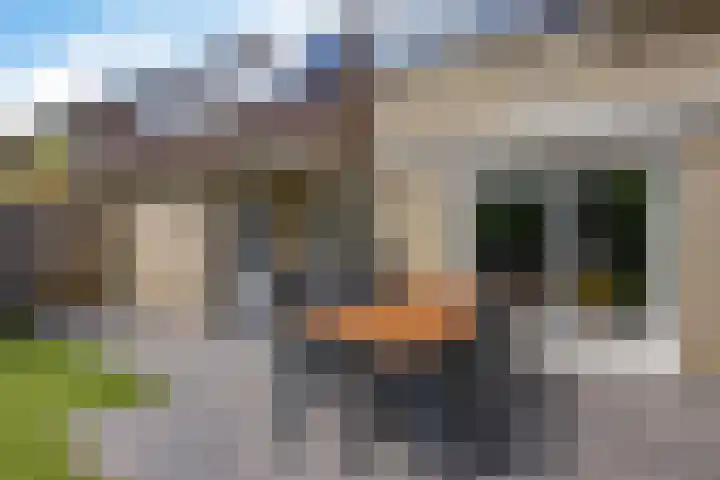 de Hilde 54 Zuidlaren thumbnail 38