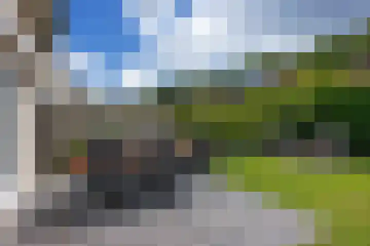 de Hilde 54 Zuidlaren thumbnail 39