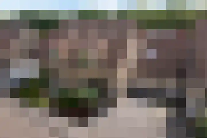 de Hilde 54 Zuidlaren thumbnail 40