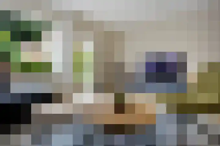 de Hilde 54 Zuidlaren thumbnail 6