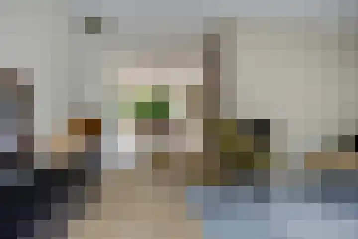 de Hilde 54 Zuidlaren thumbnail 7