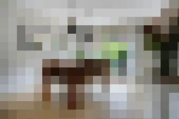de Hilde 54 Zuidlaren thumbnail 8