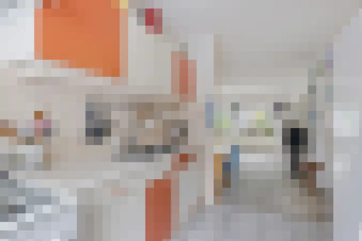 de Hilde 57 Zuidlaren thumbnail 13