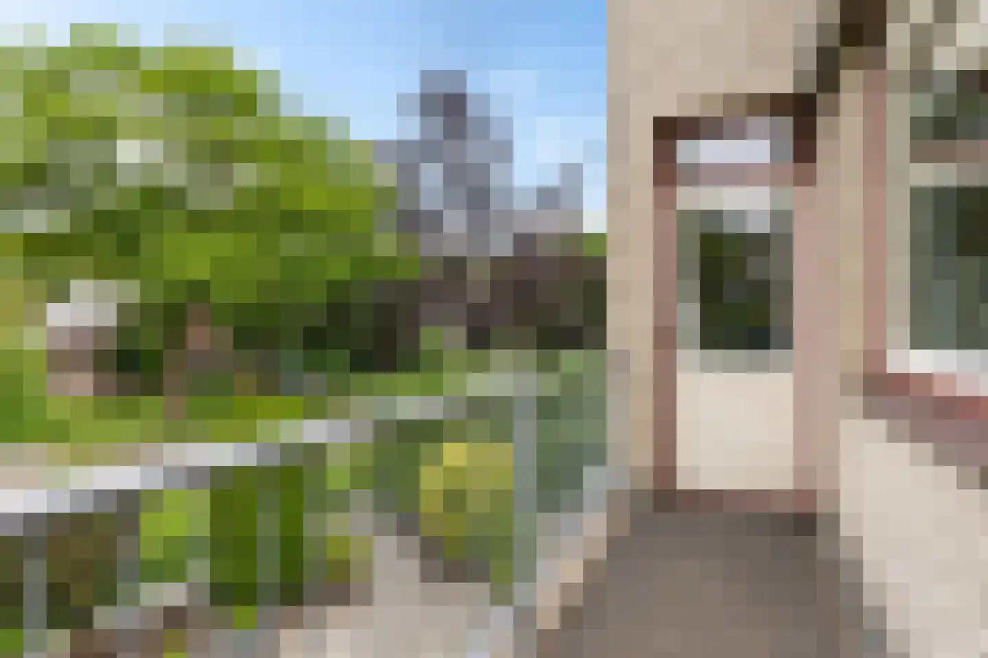 de Hilde 57 Zuidlaren thumbnail 14