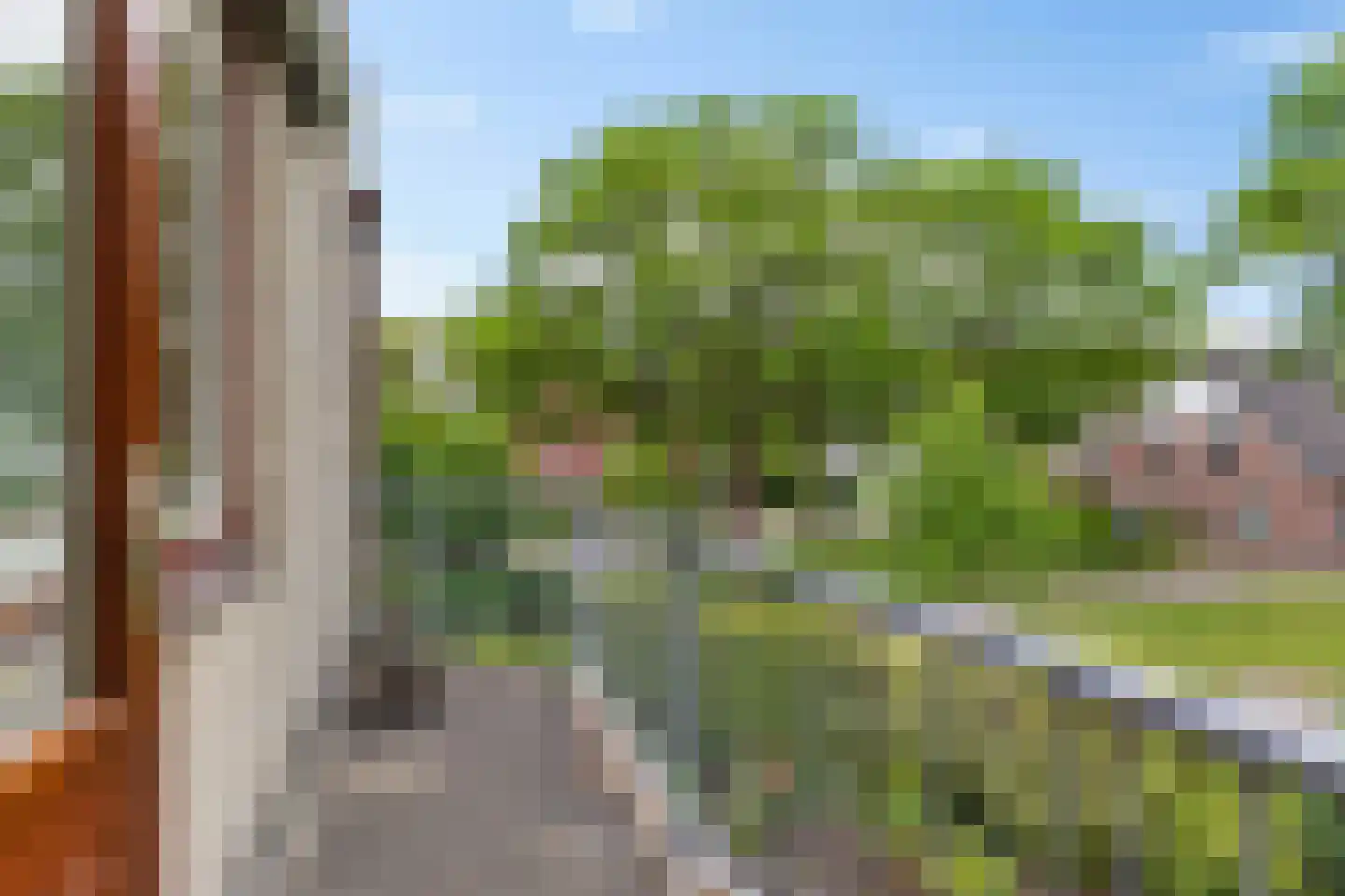 de Hilde 57 Zuidlaren thumbnail 15