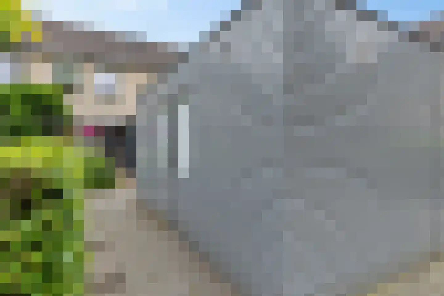 de Hilde 57 Zuidlaren thumbnail 31
