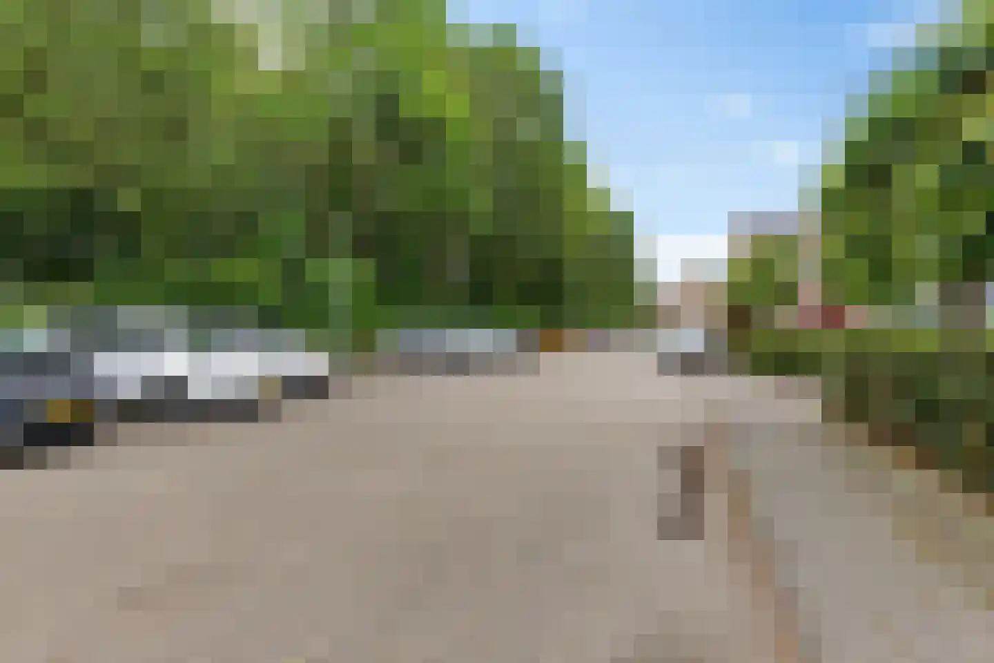 de Hilde 57 Zuidlaren thumbnail 33