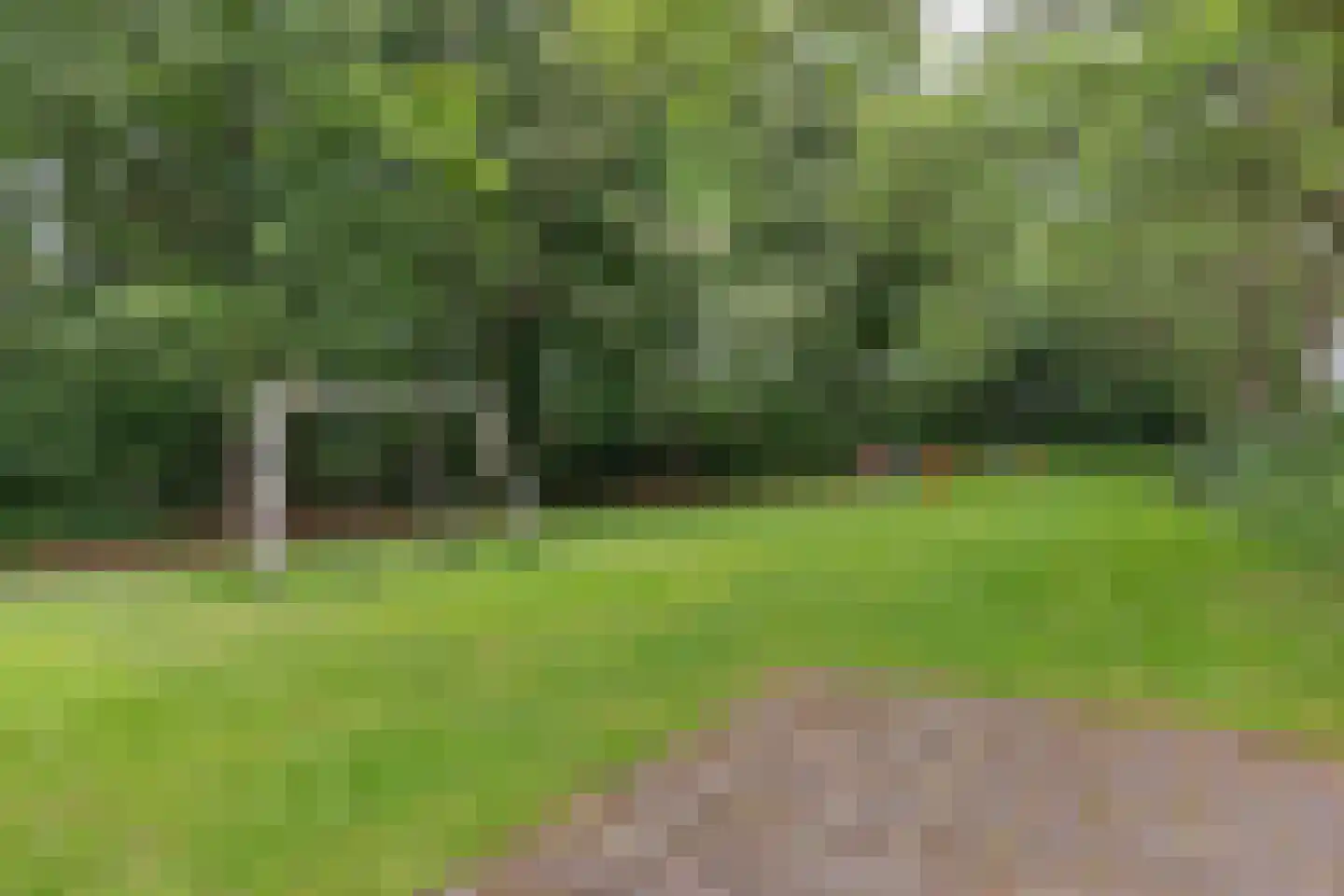 de Hilde 57 Zuidlaren thumbnail 34