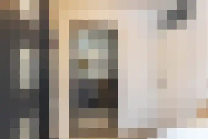 de Hilde 74 Zuidlaren thumbnail 32