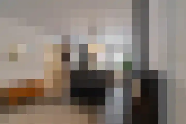 de Hilde 74 Zuidlaren thumbnail 39