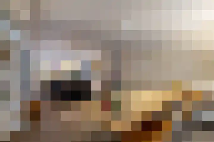 de Hilde 74 Zuidlaren thumbnail 48