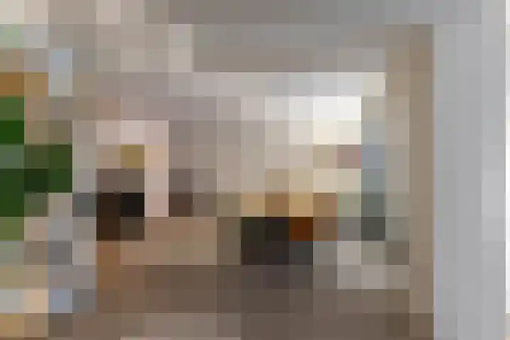 de Hilde 74 Zuidlaren thumbnail 58