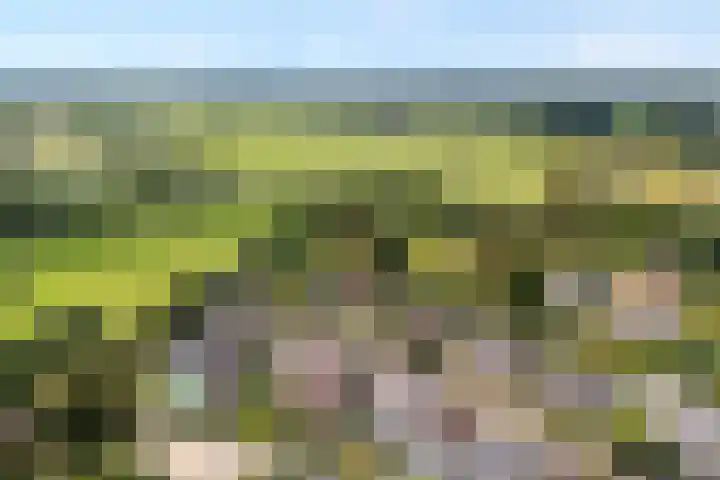 de Hilde 78 Raalte thumbnail 10